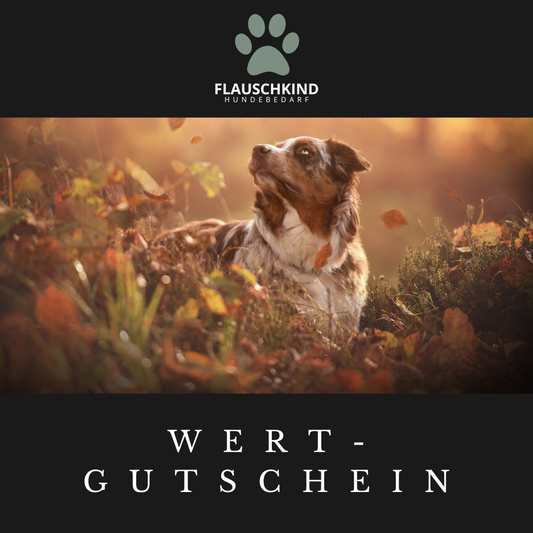 Wertgutschein Flauschkind