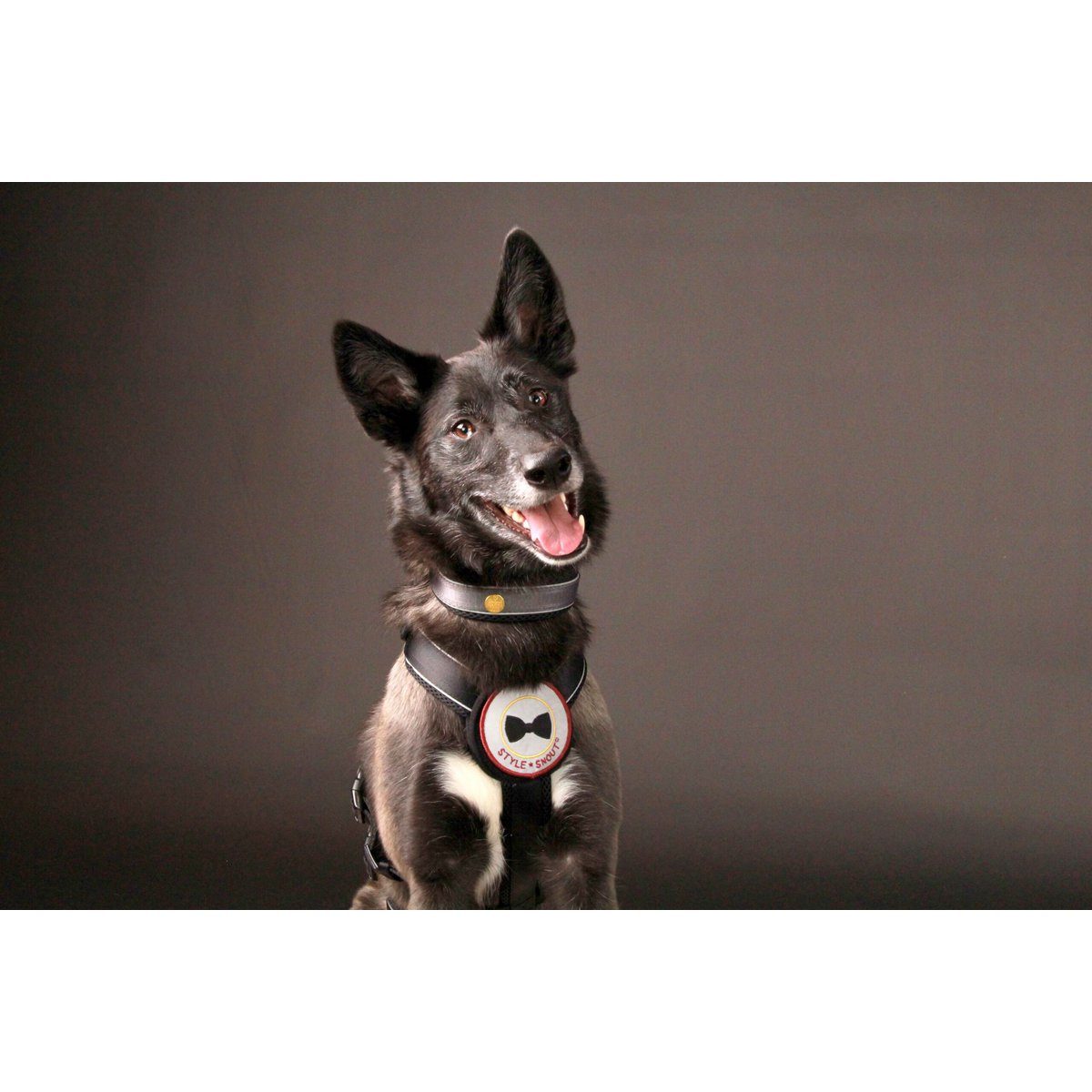 Sicherheitsgeschirr Patch&Safe