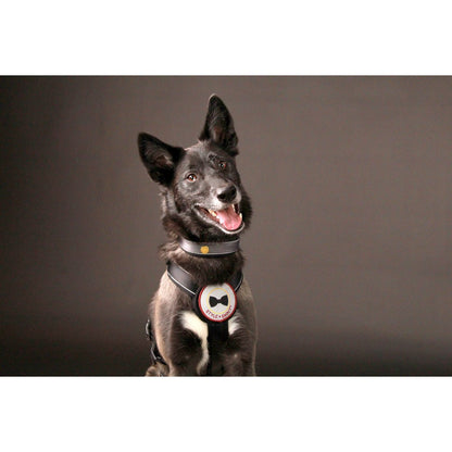 Sicherheitsgeschirr Patch&Safe