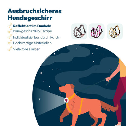 Sicherheitsgeschirr Patch&Safe